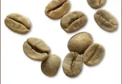 精品咖啡豆种类 巴西小粒咖啡豆图片