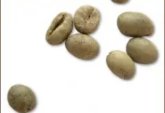 精品咖啡豆种类 爪哇中粒咖啡豆图片