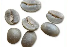 精品咖啡豆种类 抛光咖啡豆图片