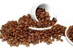 萨尔瓦多咖啡 洗温泉的咖啡豆