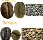 咖啡豆的种类 罗布斯塔咖啡豆