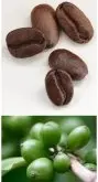 咖啡豆常识 精品咖啡豆的加工方法过程