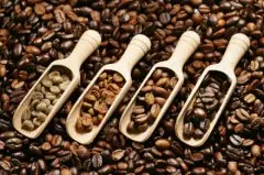 精品咖啡豆知识科普 常见咖啡生豆的分级标准