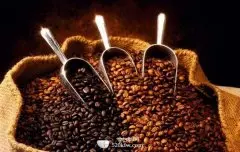 精品咖啡豆产地 科纳咖啡