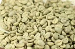 精品咖啡庄园豆 萨尔瓦多勇士庄园咖啡豆