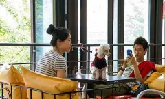 精品咖啡馆推荐 韩国最潮的狗狗咖啡馆