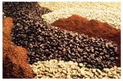 产于牙买加西部的蓝山山脉 蓝山咖啡豆的正确喝法及口感特点介绍