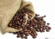 咖啡馆老板必看 咖啡生豆的选购技巧分享