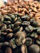 咖啡基本概念 咖啡的种类分类有哪些