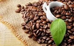 精品咖啡学 常见咖啡豆的种类与特性