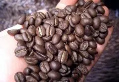 精品咖啡基础常识 咖啡的口味