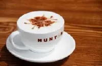 精品咖啡豆基介绍 波旁山度士咖啡