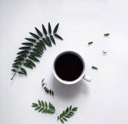 精品咖啡学 全球53个咖啡产地介绍2