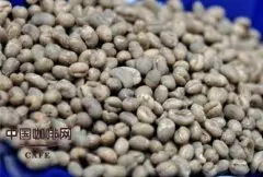 蓝山咖啡 各主要产地咖啡豆的味道基本特性
