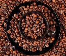 咖啡豆包装上的名词解释 解读咖啡豆的名称