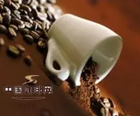 精品咖啡豆基础常识 介绍特级曼特宁咖啡豆