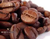 世纪精品咖啡豆产地 单一产地咖啡豆