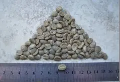 精品咖啡豆基础常识 如何洗咖啡生豆