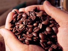 什么是咖啡因 咖啡因的作用详解
