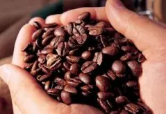 什么是咖啡因 咖啡因的作用详解
