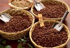 咖啡豆的渊源 牧羊人的故事