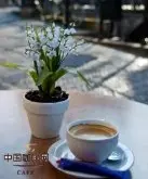 精品咖啡知识 也门摩卡咖啡的简介
