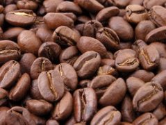 北苏门答腊精品曼特宁咖啡豆