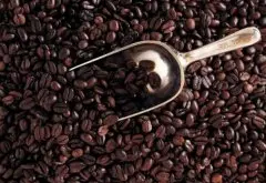 判断咖啡豆的新鮮度 闻、看、剥是关键