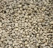 精品咖啡豆 世界著名6大咖啡生豆