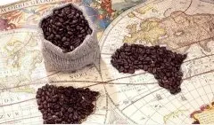咖啡的“血统论” 咖啡豆品种的产地介绍