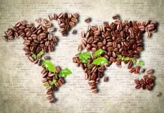 咖啡文化 咖啡在世界的传播轨迹
