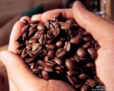 如何鉴赏精品咖啡豆 咖啡豆的鉴赏方法