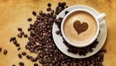 咖啡豆的成分分析 咖啡中的成分绿原酸