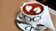海鸥手压式咖啡机 咖啡制作常识