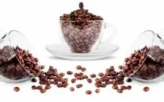 一杯单品咖啡的主要成分有什么 咖啡因脂肪