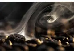 咖啡豆的果实采摘过程 采摘-浆果处理-晾晒