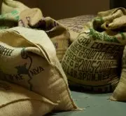咖啡豆产国咖啡常识 扎伊尔的咖啡