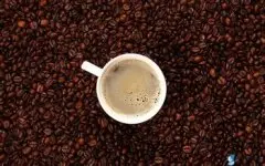 咖啡饮料席卷生活 咖啡基础常识
