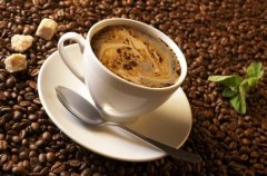 亚洲最著名的咖啡豆 产于印尼的猫屎咖啡