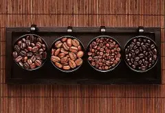 咖啡的传承 精品咖啡基础常识