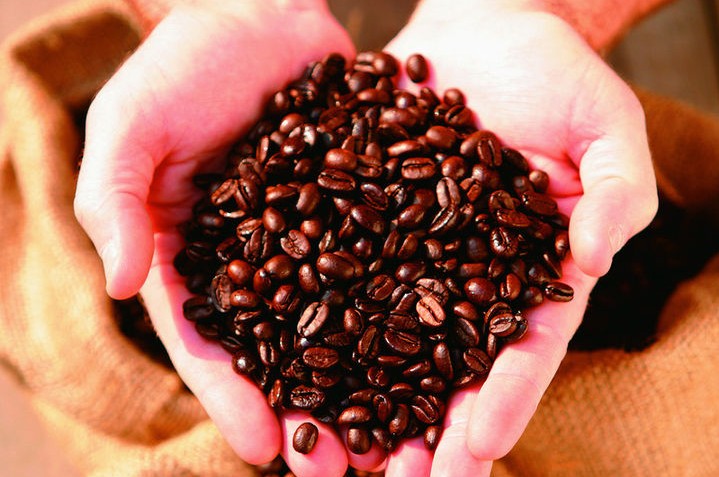 未来十年中国将成为全世界咖啡销量最大的国家之一