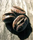 喝咖啡讲究必须从生咖啡豆开始