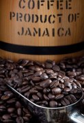 精品咖啡豆产国介绍 布隆迪的咖啡