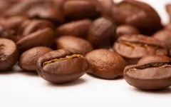 精品咖啡豆常识 咖啡的平豆、圆豆、象豆
