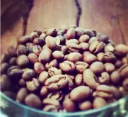 种植咖啡树的生长过程  咖啡基础常识