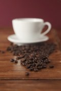 咖啡树种植技巧 咖啡的播种方法