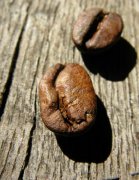 蓝山咖啡的种类 咖啡豆基础常识