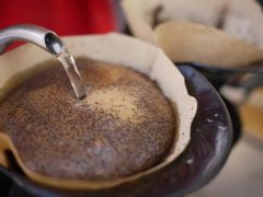 吉林省营养专家建议 少喝咖啡多饮水
