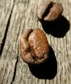 COSTA雨林认证咖啡豆制作分享文章