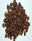 咖啡豆烘焙 烘焙坦桑尼亚露布AAA